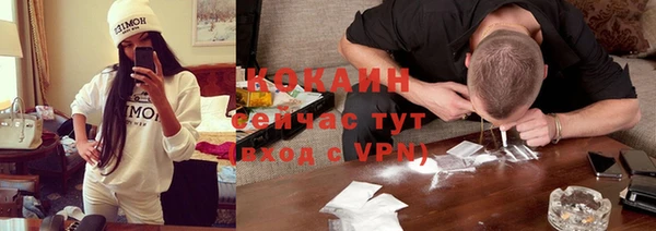 винт Лагань