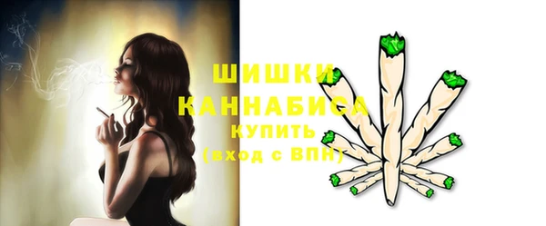винт Лагань