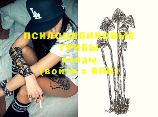 крисы Ладушкин